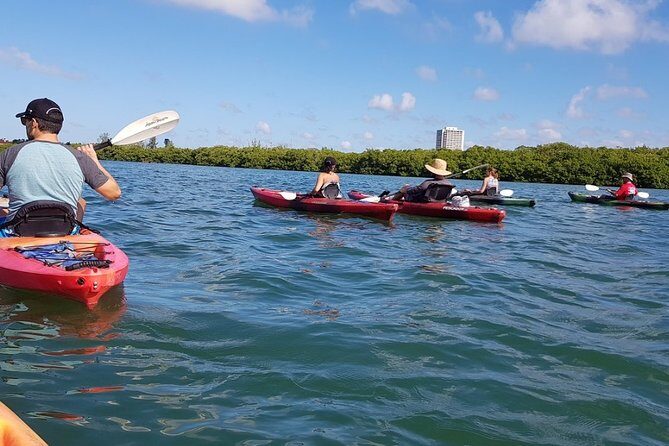 Sarasota Guided Mangrove Tunnel Kayak Tour - Why This Tour Is Worth It