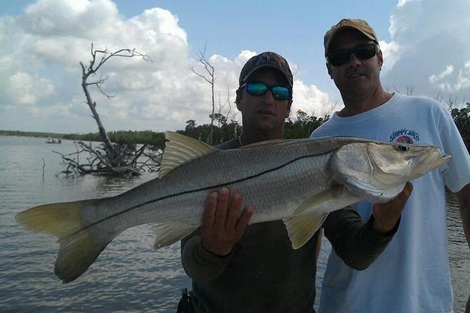 Sarasota Inshore Fishing Charters - The Sum Up