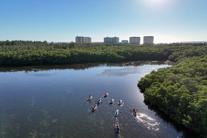 Sarasota Mangrove Tunnel Guided Kayak Adventure - Who Is This Tour Best Suited For?