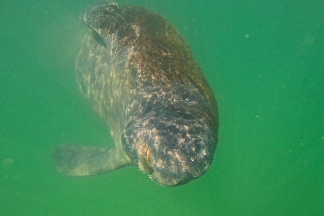Sarasota Waterways Tour for All Ages - The Value Proposition