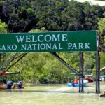 Sarawak Bako National Park Tour : Rainforest Flora & Fauna - Flora That Fascinates