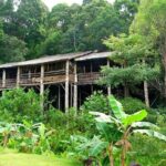 Sarawak Cultural Village Tour from Kuching - The Ethnic Houses: Walking Through Seven Cultures