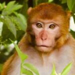 Sassys Silver Springs Kayak and Paddleboard Tours - Who Should Consider This Tour?