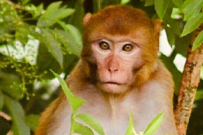 Sassys Silver Springs Kayak and Paddleboard Tours - Who Should Consider This Tour?