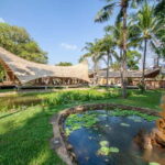 Satcha: Workshop Tour Guide with Lunch and Soft Drink - An In-Depth Look at the Satcha Workshop Tour