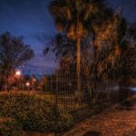 Savannah Beyond Good & Evil Tour - Authentic Experiences and Real Reviews