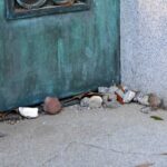 Savannah Haunted and Historical Walking Tour - Who Should Consider This Tour?