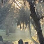 Savannah History and Haunts Candlelit Ghost Walking Tour - The Itinerary in Detail