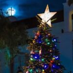 Savannah Holiday Sights and Festive Nights Trolley Tour - Who Will Love This Tour?