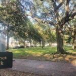Savannah Irish History Walking Tour - The Practicalities and Value