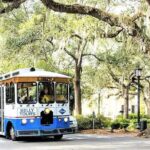 Savannah Land & Sea Combo: City Sightseeing Trolley Tour with Riverboat Cruise - Who Should Consider This Tour?