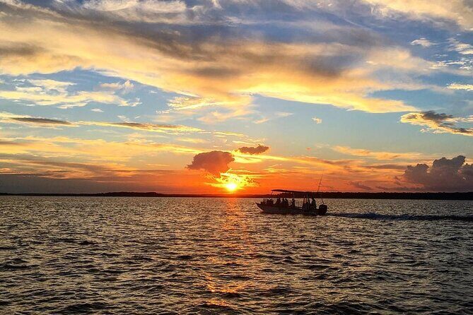 Savannah Sunset Dolphin Eco Tour - Authentic Testimonials from Travelers