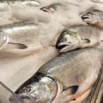 Savor the Sea: Guided Seafood Tasting at Pike Place Ma - FAQ