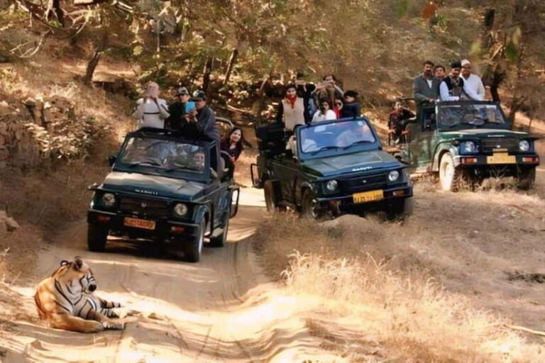 Sawai Madhopur: Ranthambore National Park Guided Jeep Safari - Final Thoughts: Is It Worth It?