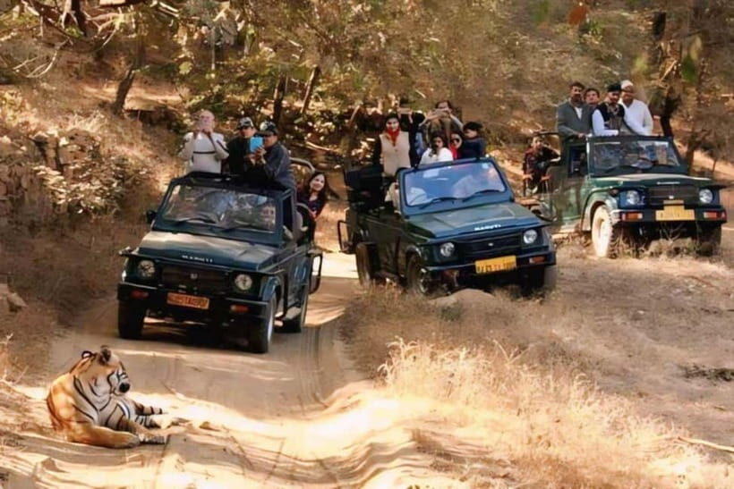 Sawai Madhopur: Ranthambore National Park Guided Jeep Safari - Final Thoughts: Is It Worth It?