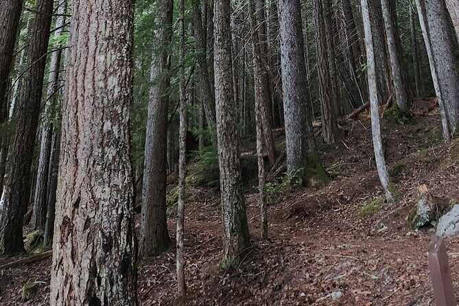 Scavenger Hunt Adventure with Geocaching in Whistler - What Makes This Tour Special?