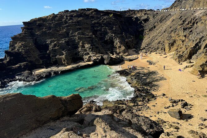 Scenic half day Circle Island tour - What the Reviews Say