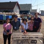 Scenic North Shore and Anne 5 Passengers only - The Sum Up