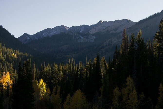 Scenic Park City Tour via Big Cottonwood Canyon - Who This Tour Is Best For