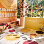 Scentopia - 100ml Scent crafting with Rainforest orchids - Why This Experience Works for You