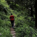 School Boy Walk - Who Should Consider This Tour?