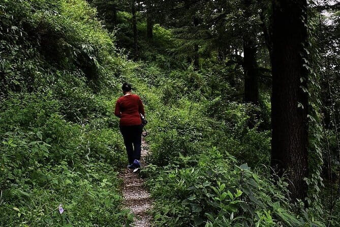 School Boy Walk - Who Should Consider This Tour?