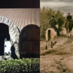 Scottsdale Horseback Riding and Horse Country Estate Tour - Scottsdale Horseback Riding and Horse Country Estate Tour: A Genuine Look