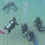 SCUBA Dive at Electric Beach with Photos -No Certification Needed - Practical Considerations