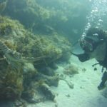 SCUBA Dive Key Largo Reef (min 6 divers) - Who Should Consider This Tour?