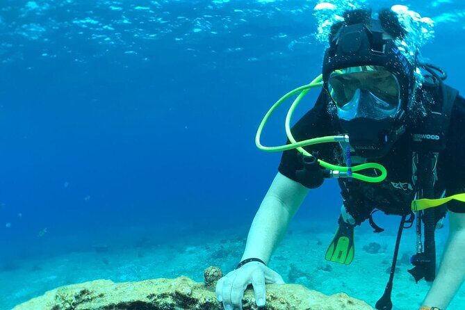 Scuba Diving Adventure in Riviera Maya Small Group Experience - FAQs