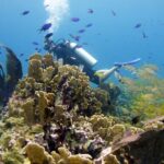 Scuba diving at MUSA the underwater museum for certified divers - Practical Details and Considerations