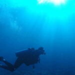 Scuba Diving in Colombo - What Makes This Dive Experience Special