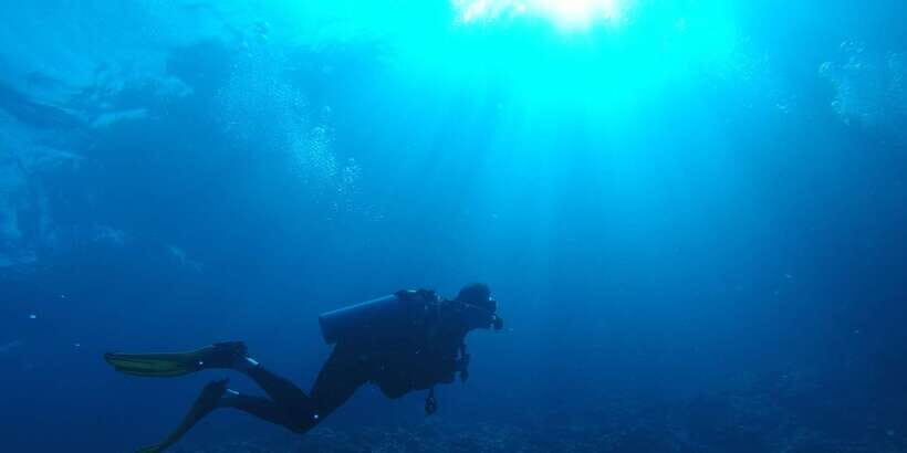 Scuba Diving in Colombo - What Makes This Dive Experience Special