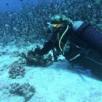 Scuba Diving in Hikkaduwa - Why Choose Scuba Diving in Hikkaduwa?