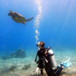 Scuba Diving in Maui with No Experience Needed - A Closer Look at What to Expect