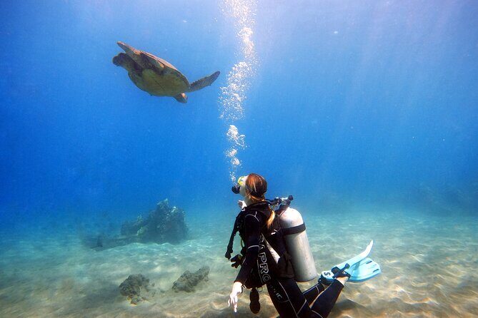 Scuba Diving in Maui with No Experience Needed - A Closer Look at What to Expect