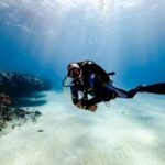 Scuba Diving in Playa del Carmen for Small Groups - Who Will Love This Tour?