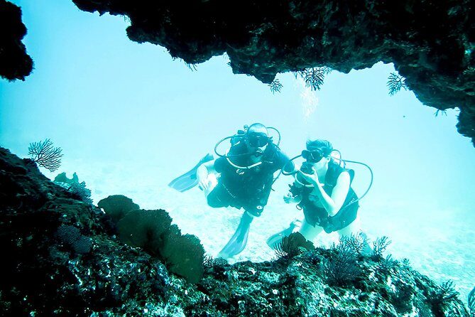 Scuba Diving Marietas Islands - Why This Tour Offers Great Value