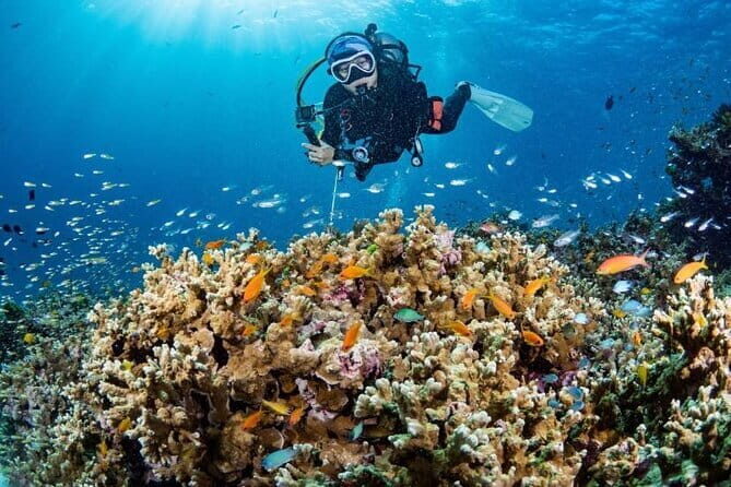 Scuba Diving Refresher(3 dives) - A Breakdown of the Itinerary