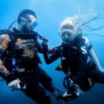 Scuba Diving Trip to Sail Rock From Koh Phangan (Certified Divers) - Marine Life and Encounters