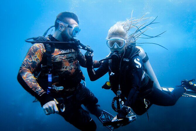 Scuba Diving Trip to Sail Rock From Koh Phangan (Certified Divers) - Marine Life and Encounters