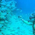 Scuba Diving with a 5-Star PADI Center in Puerto Vallarta - Who Will Love This Tour?