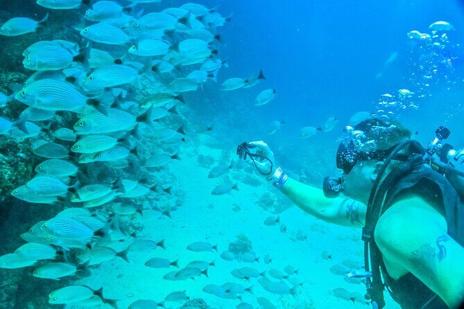 Scuba Diving with a 5-Star PADI Center in Puerto Vallarta - Who Will Love This Tour?