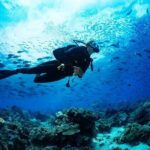 Scuba Referral Dives & Beach Club with Transportation In Riviera Maya - A Detailed Look at the Riviera Maya Scuba Referral Dive Experience