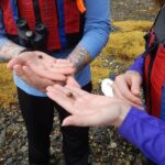 Sea Kayak to an Island Tour in Casco Bay - Exploring the Casco Bay Kayak Tour in Detail