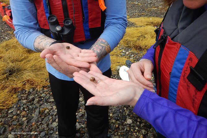 Sea Kayak to an Island Tour in Casco Bay