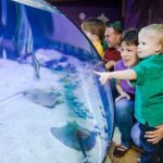 SEA LIFE Aquarium Arizona Admission Ticket - Marine Life Collection