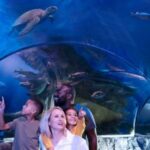 SEA LIFE Arizona Aquarium General Admission - An In-Depth Look at What to Expect at SEA LIFE Arizona Aquarium