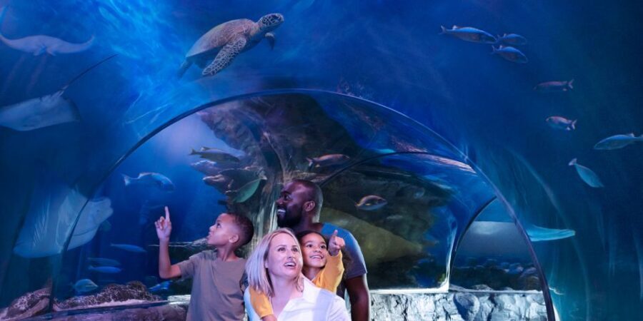 SEA LIFE Arizona Aquarium General Admission - An In-Depth Look at What to Expect at SEA LIFE Arizona Aquarium