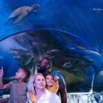 SEA LIFE New Jersey at American Dream - Key Points